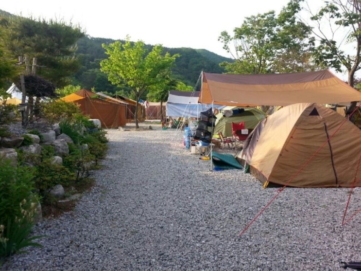 도리돌 캠핑장 이미지