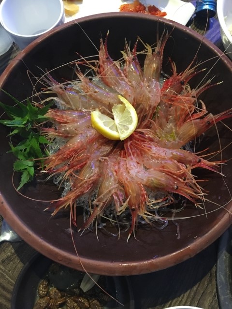 (주)젤미 이미지
