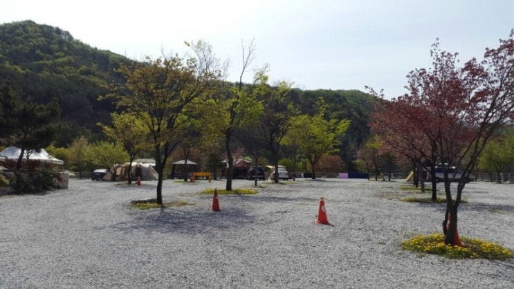 도리돌 캠핑장 이미지
