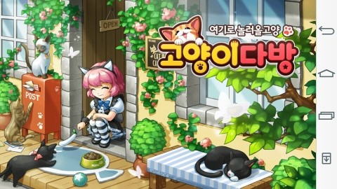 고양이다방 이미지