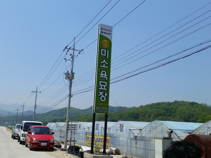 미소육묘장 이미지