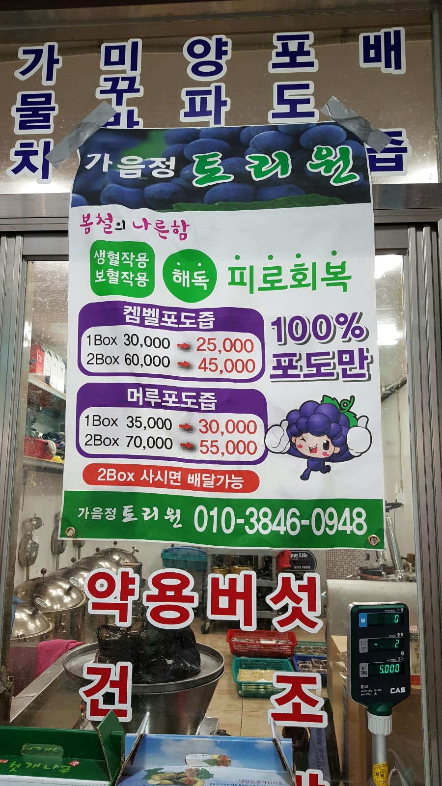 토리원 이미지