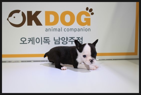 오케이판매업 이미지