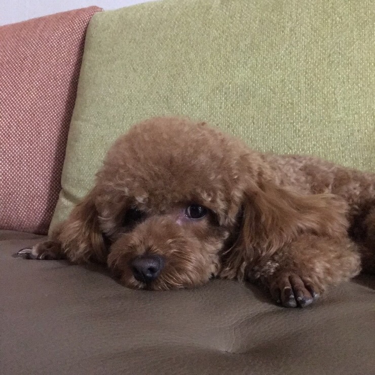 잇다 이미지