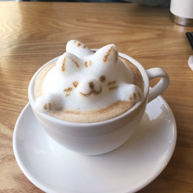 라두스 이미지