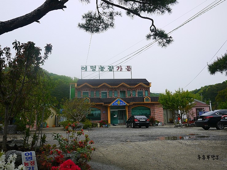 여명농장 이미지