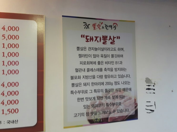 참뽈살 이미지
