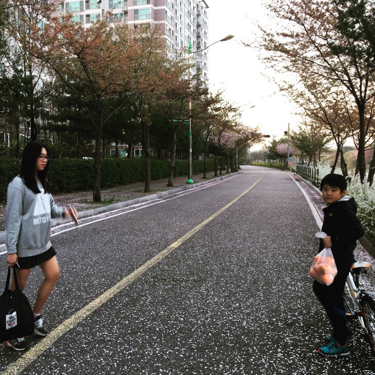 치킨에미치닭 이미지