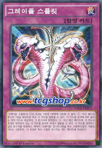 그레이디멘션 이미지