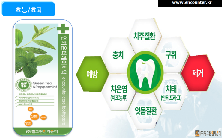 필그린인카운터 이미지