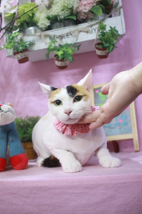 주리헤어 이미지