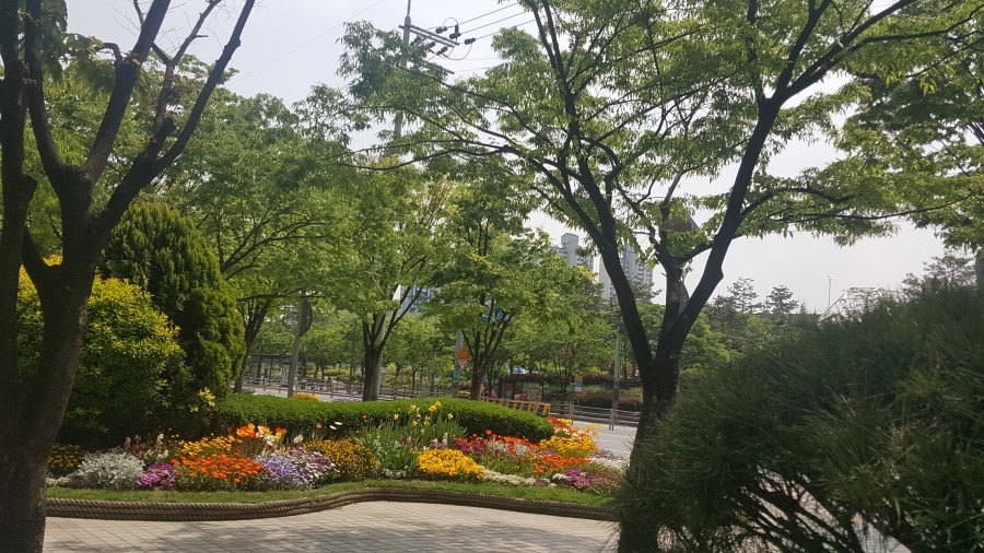 브라보노래천국 이미지
