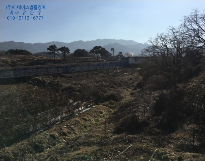 더과수원 이미지