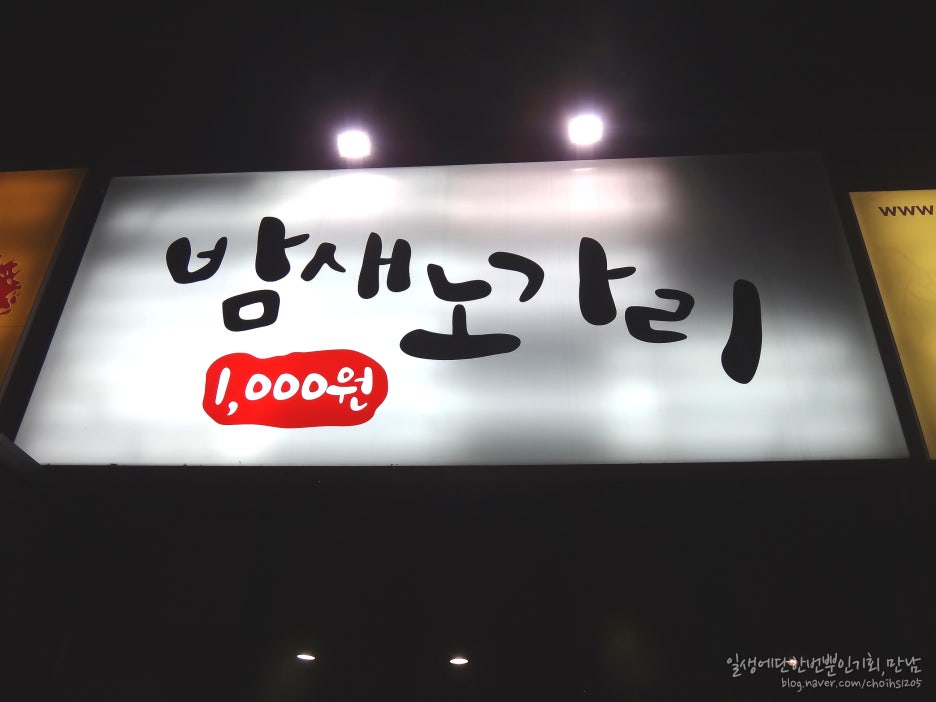 밤새노가리 이미지