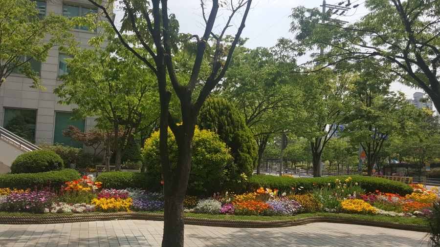 브라보노래천국 이미지