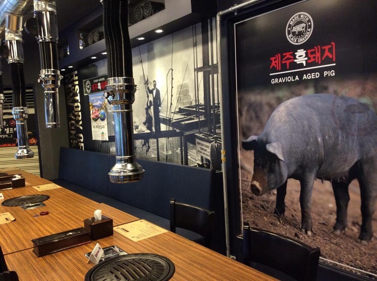 제주촌돼지 이미지