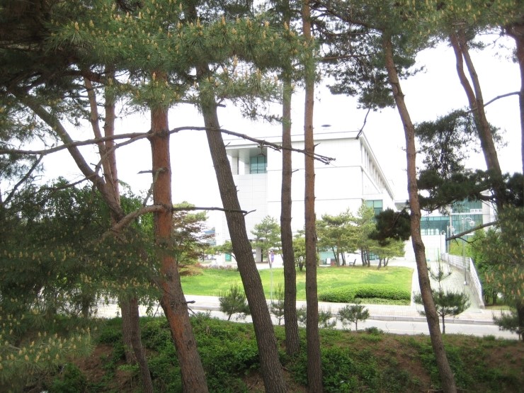 강남콩바디헬스클럽 이미지