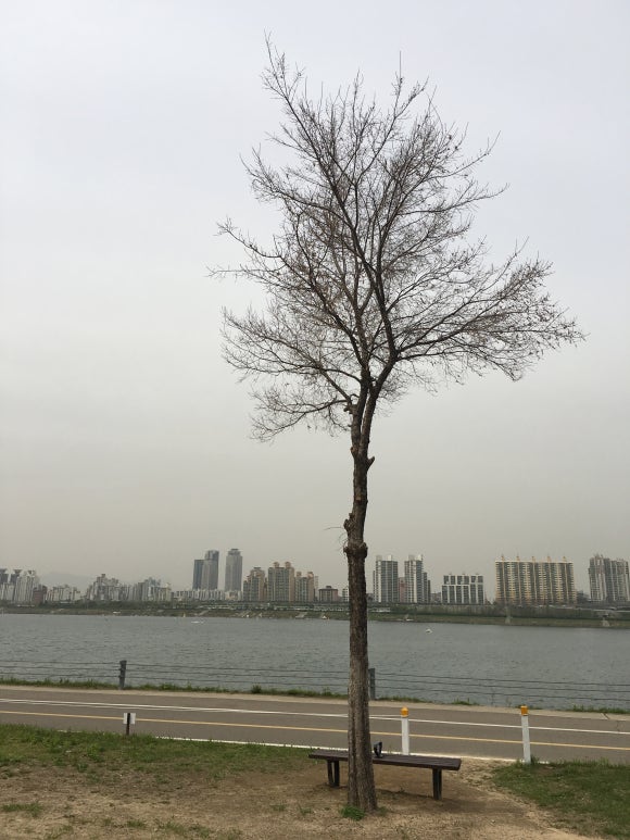일상커피 이미지