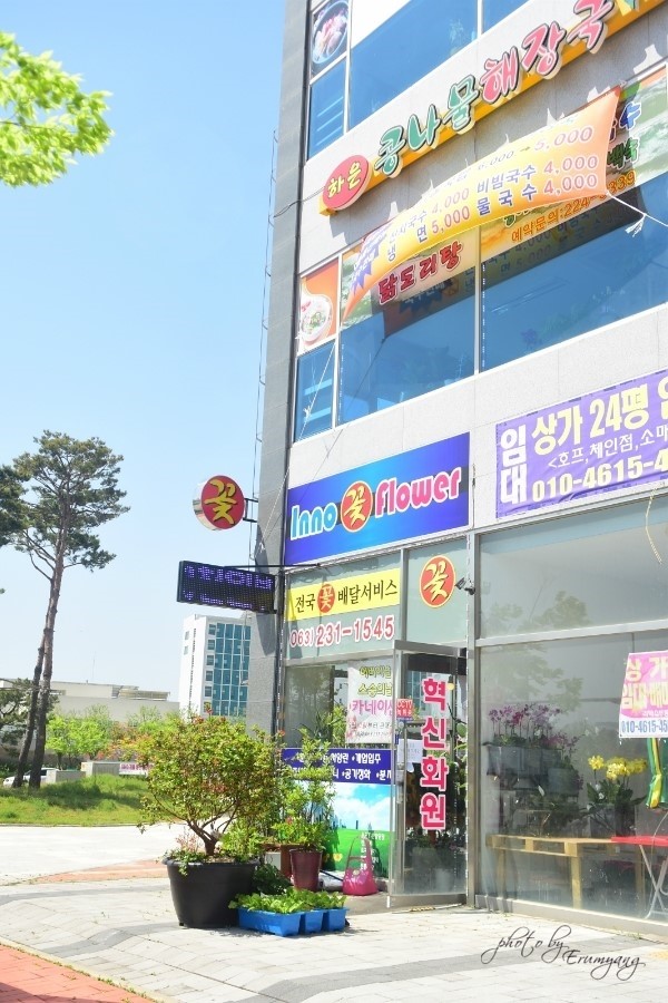 이노플라워 이미지