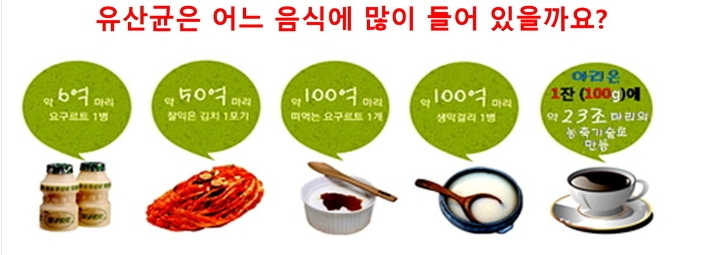 (주)다나식품 이미지