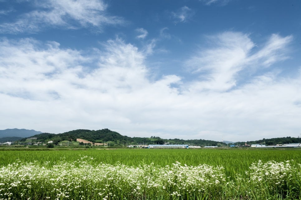 (주)시루산 이미지