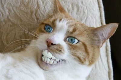 잉크홀릭타투 이미지
