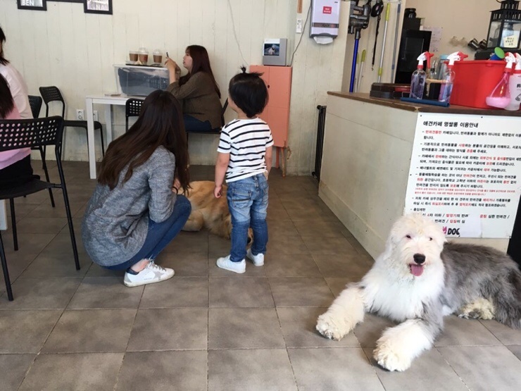 카페쌀롱 이미지