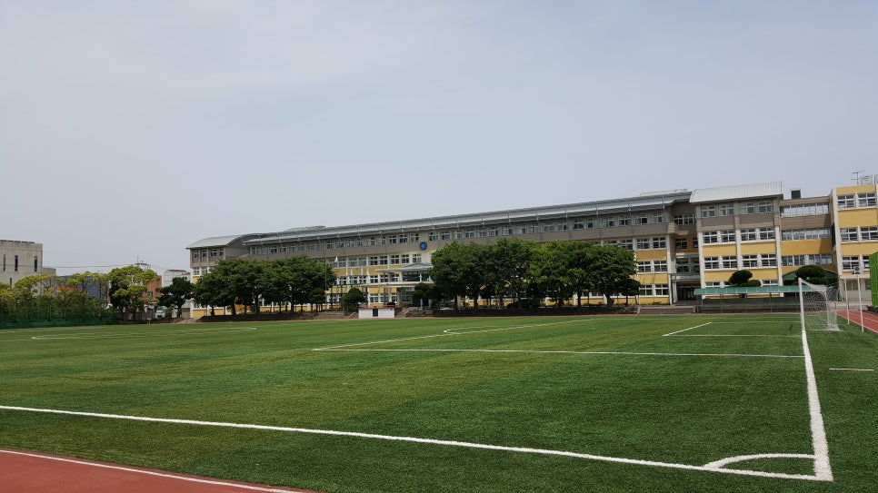 제주중앙중학교 이미지