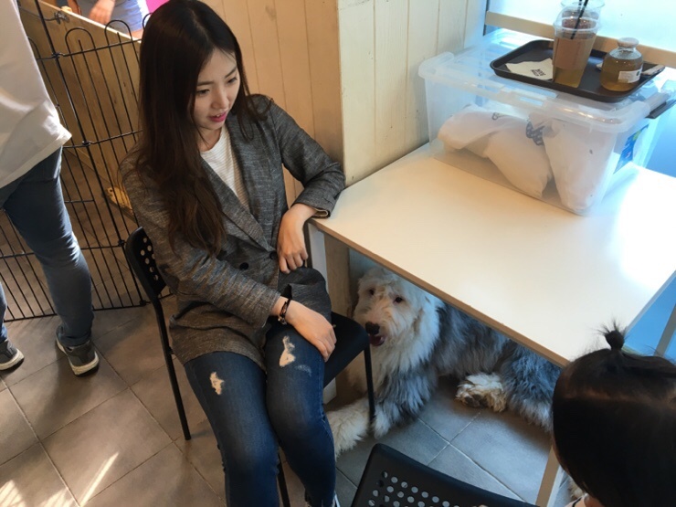 카페쌀롱 이미지
