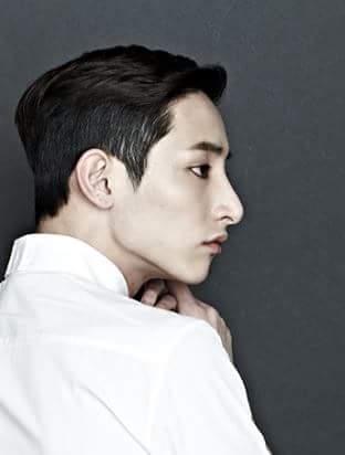 머리머리 이미지