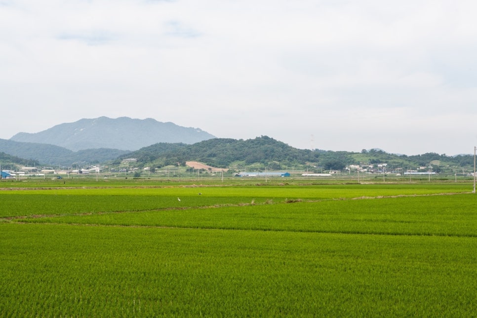 (주)시루산 이미지