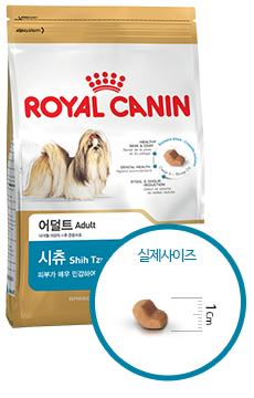 로얄맘 이미지