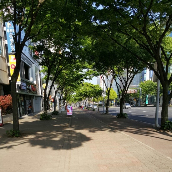 바르다김선생제주연동신시가지점 이미지