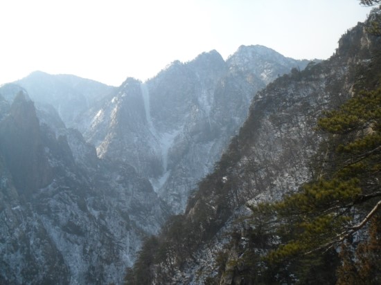 금성종합수산 이미지