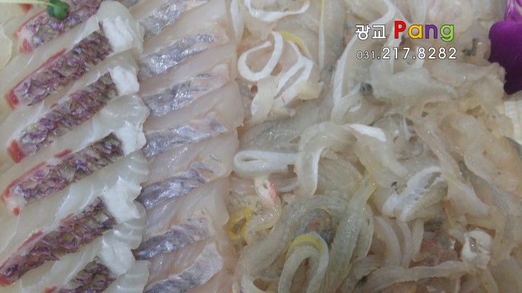 원조세꼬시 이미지