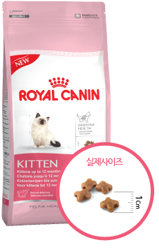 로얄맘 이미지