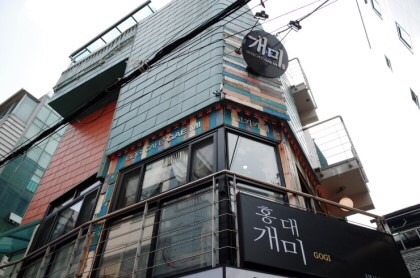 홍대개미 이미지