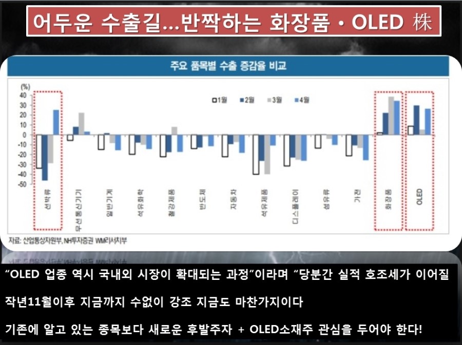 디베스 이미지