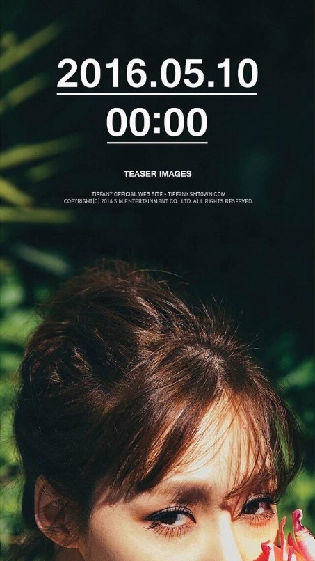 율탱 이미지