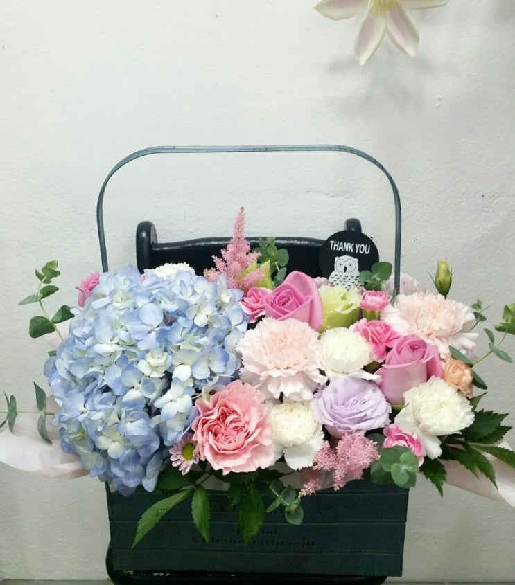합천플라워 이미지