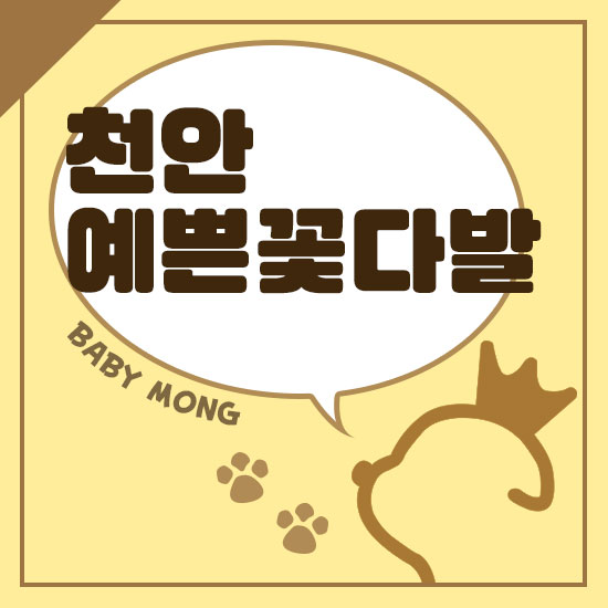 플라워#153 이미지
