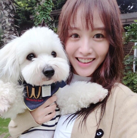 개스타그램 이미지