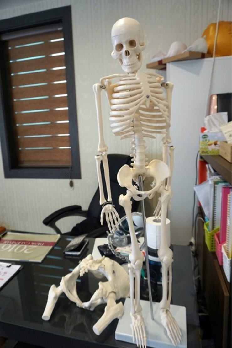 가인미가 이미지