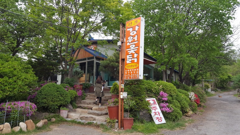 강원옻닭 이미지