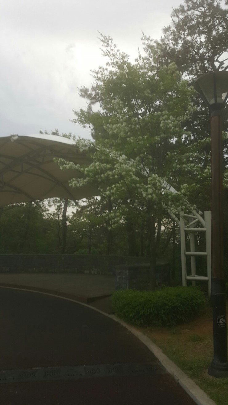 신현-5 (솔숲공원) 이미지