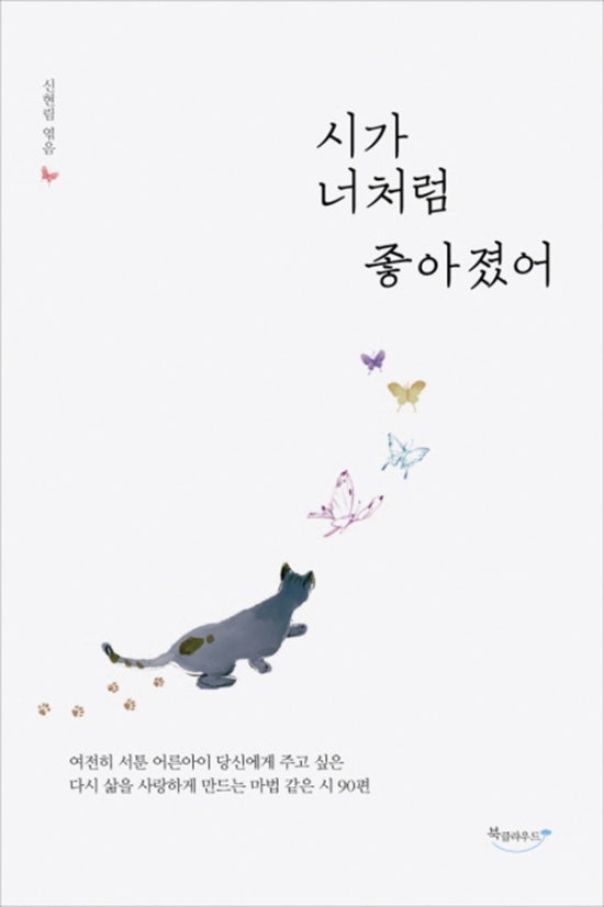 클라우드시가 이미지