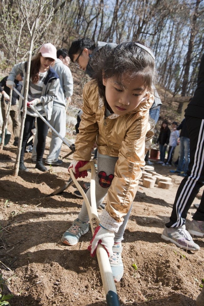한국재능연구소 이미지