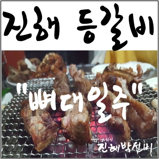 뼈대일주 이미지