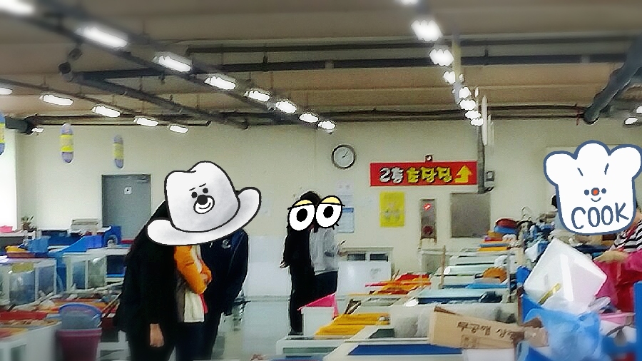 주전초장 이미지