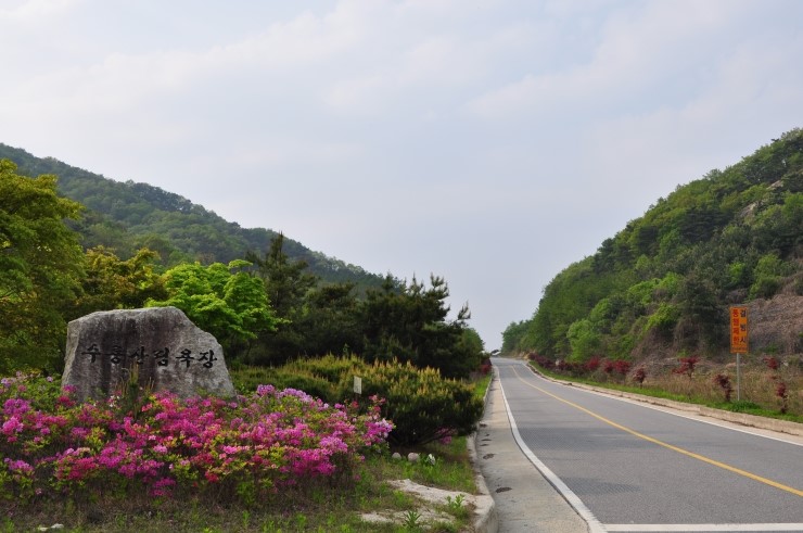 수룡캠핑장 이미지